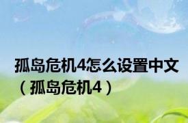 孤岛危机4怎么设置中文（孤岛危机4）