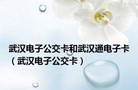 武汉电子公交卡和武汉通电子卡（武汉电子公交卡）