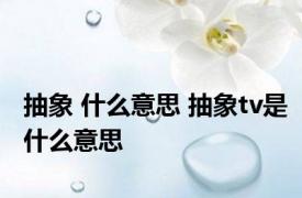 抽象 什么意思 抽象tv是什么意思