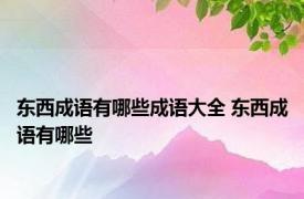 东西成语有哪些成语大全 东西成语有哪些