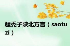 骚秃子陕北方言（saotuzi）