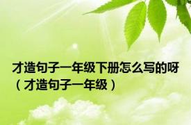 才造句子一年级下册怎么写的呀（才造句子一年级）