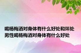 喝杨梅酒对身体有什么好处和坏处 男性喝杨梅酒对身体有什么好处