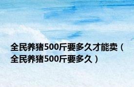 全民养猪500斤要多久才能卖（全民养猪500斤要多久）