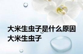 大米生虫子是什么原因 大米生虫子 