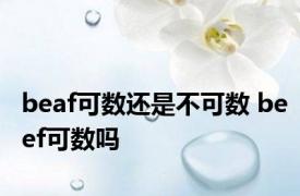 beaf可数还是不可数 beef可数吗