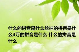 什么的拼音是什么丝袜的拼音是什么4万的拼音是什么 什么的拼音是什么