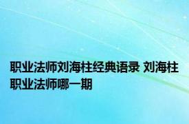 职业法师刘海柱经典语录 刘海柱职业法师哪一期