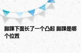 脚踝下面长了一个凸起 脚踝是哪个位置