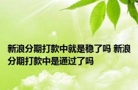 新浪分期打款中就是稳了吗 新浪分期打款中是通过了吗