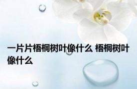 一片片梧桐树叶像什么 梧桐树叶像什么