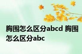 胸围怎么区分abcd 胸围怎么区分abc