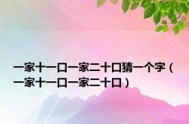 一家十一口一家二十口猜一个字（一家十一口一家二十口）