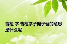 曹植 字 曹植字子健子健的意思是什么呢