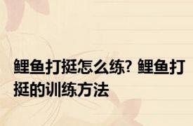 鲤鱼打挺怎么练? 鲤鱼打挺的训练方法