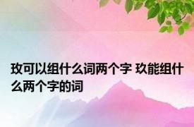 玫可以组什么词两个字 玖能组什么两个字的词