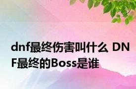 dnf最终伤害叫什么 DNF最终的Boss是谁