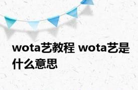 wota艺教程 wota艺是什么意思