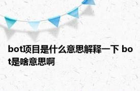 bot项目是什么意思解释一下 bot是啥意思啊