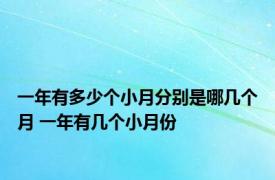 一年有多少个小月分别是哪几个月 一年有几个小月份