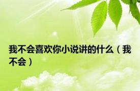 我不会喜欢你小说讲的什么（我不会）