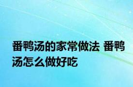 番鸭汤的家常做法 番鸭汤怎么做好吃