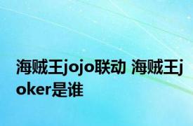 海贼王jojo联动 海贼王joker是谁