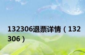 132306退票详情（132306）