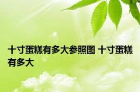 十寸蛋糕有多大参照图 十寸蛋糕有多大