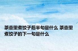 茶壶里煮饺子后半句是什么 茶壶里煮饺子的下一句是什么