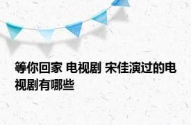 等你回家 电视剧 宋佳演过的电视剧有哪些