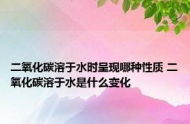 二氧化碳溶于水时呈现哪种性质 二氧化碳溶于水是什么变化