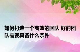 如何打造一个高效的团队 好的团队需要具备什么条件