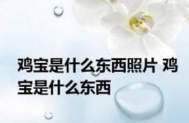 鸡宝是什么东西照片 鸡宝是什么东西