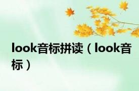 look音标拼读（look音标）