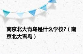 南京北大青鸟是什么学校?（南京北大青鸟）