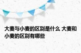 大麦与小麦的区别是什么 大麦和小麦的区别有哪些