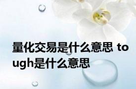 量化交易是什么意思 tough是什么意思