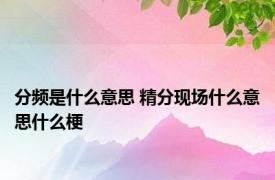 分频是什么意思 精分现场什么意思什么梗