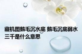 藏机图鹅毛沉水底 鹅毛沉底弱水三千是什么意思