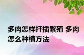 多肉怎样扦插繁殖 多肉怎么种植方法