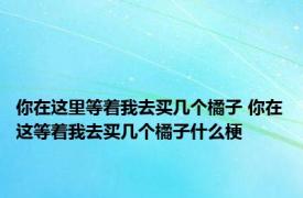 你在这里等着我去买几个橘子 你在这等着我去买几个橘子什么梗