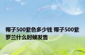 椰子500紫色多少钱 椰子500紫罗兰什么时候发售