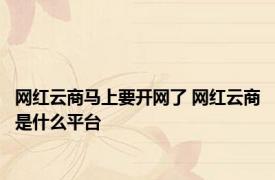 网红云商马上要开网了 网红云商是什么平台