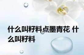 什么叫籽料点墨青花 什么叫籽料