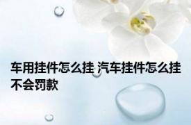 车用挂件怎么挂 汽车挂件怎么挂不会罚款