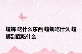 螳螂 吃什么东西 螳螂吃什么 螳螂到底吃什么