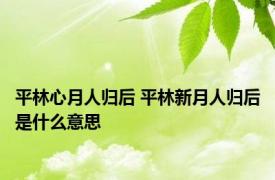 平林心月人归后 平林新月人归后是什么意思