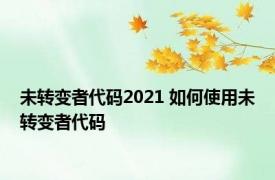 未转变者代码2021 如何使用未转变者代码