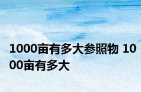 1000亩有多大参照物 1000亩有多大